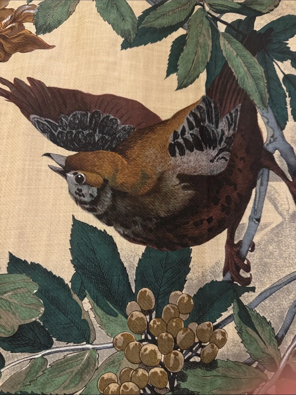 Perry Ellis Botanical Bird Scarf